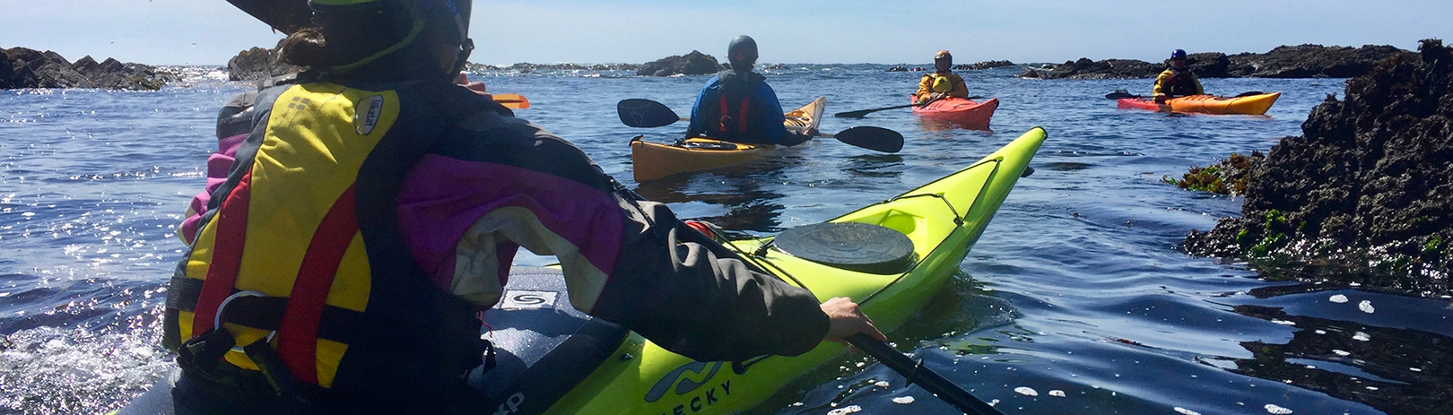 Seakayaking the Pacific Coast